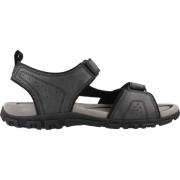 Strada Sandalen Geox , Black , Heren