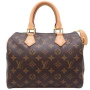 Pre-owned Canvas handbags Louis Vuitton Vintage , Brown , Dames