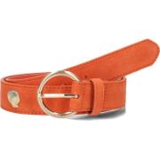 Studded Shell Riem in Oranje Fabienne Chapot , Orange , Dames