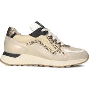 Beige Leren Sneakers Selva 17.46 Piedi Nudi , Beige , Dames