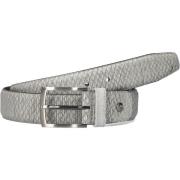 Heren Leren Riem Floris van Bommel , Gray , Heren