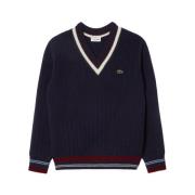 Blauwe Gestreepte Wollen Hoodie Aw24 Lacoste , Blue , Heren