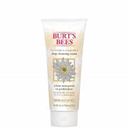 Burt's Bees Clean Skin Duo