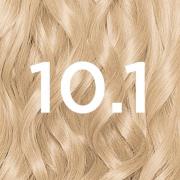 Garnier Nutrisse Permanente Haarverf (Verschillende tinten) - 10.1 Ice...