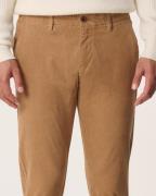 Campbell Henry Heren Chino