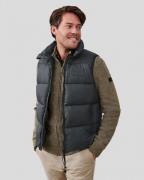 Cavallaro Bodywarmer