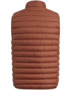 Vanguard Bodywarmer