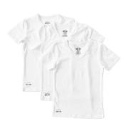 Little Label T-shirt van biologisch katoen - set van 3 wit Jongens Str...