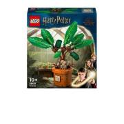 LEGO Harry Potter Mandragora 76433 Bouwset | Bouwset van LEGO