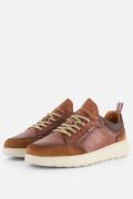 Ambitious Hover Sneakers cognac Leer