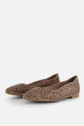 Tamaris Leopard Ballerina's bruin Leer