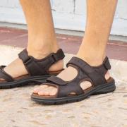 Panama Jack Salton Basics C1 Sandalen bruin Leer