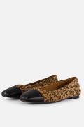 Linea Zeta Leopard Ballerina's bruin Leer