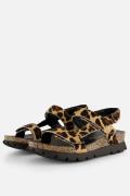 Panama Jack Selma Leopard Sandalen bruin Leer
