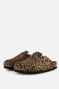Scholl Fae Muiltjes Panterprint bruin Suède