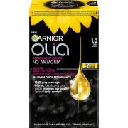 Garnier Olia Permanent Color 1.0 Deep Black