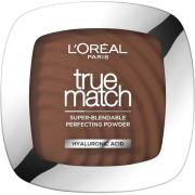 Loreal Paris True Match Powder 11.N