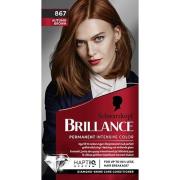 Schwarzkopf Brillance  Permanent Intensive Color 867 Autumn Brown