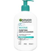 Garnier PureActive   Salicylic Purifying Gentle Cleanser For Impu