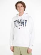 TOMMY JEANS Hoodie TJM REG CAMO NEW VRSTY HOODIE