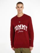 TOMMY JEANS Trui met ronde hals TJM RLX NEW VARSITY SWEATER