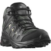 Salomon Wandelschoenen X BRAZE MID GORE-TEX