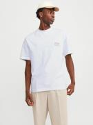 Jack & Jones Oversized shirt JORSANTORINI BACK TEE SS CREW NECK SN