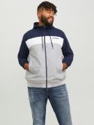 Jack & Jones PlusSize Bomberjack JJERUSH HOOD BOMBER NOOS PLS