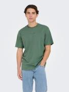 ONLY & SONS Shirt met ronde hals ONSLEVI LIFE REG TEXT SS TEE NOOS