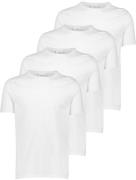 LINDBERGH T-shirt (set, 4-delig)