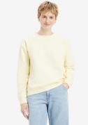 NU 20% KORTING: Levi's® Sweatshirt Everyday met klein logo op borsthoo...