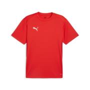 PUMA Trainingstop TEAMGOAL JERSEY