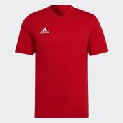 adidas Performance Trainingsshirt ENT22 TEE