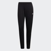 adidas Performance Trainingsbroek ENT22 TR PNT W (1-delig)