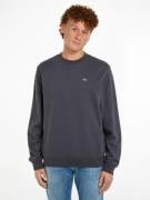 TOMMY JEANS Sweatshirt TJM REG S FLAG CREW