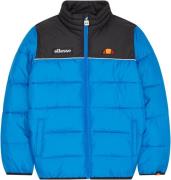 NU 20% KORTING: ellesse Gewatteerde jas JENTRO PADDED JACKET - voor ki...