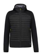 NU 20% KORTING: Icepeak Softshell-jack H HYBRIDE SOFTSHELLJAS DEEPSTEP