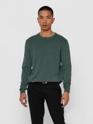 ONLY & SONS Trui met ronde hals ONSALEX 12 SOLID CREW NECK KNIT