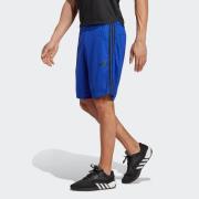 adidas Performance Short TR-ES PIQ 3SHO (1-delig)