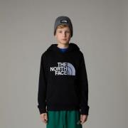 NU 20% KORTING: The North Face Hoodie