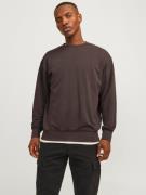 Jack & Jones Sweatshirt JJECHARGE SWEAT CREW NECK NOOS