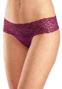 Vivance String van elastische katoen met florale kant (set, 3 stuks)