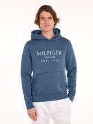 Tommy Hilfiger Hoodie BIG HILFIGER HOODY met contrastkleurige print