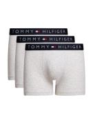 Tommy Hilfiger Underwear Trunk 3P TRUNK (Set van 3)