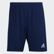 adidas Performance Trainingsshort ENT22 TR SHO (1-delig)