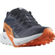 NU 20% KORTING: Salomon Trailrunningschoenen SENSE RIDE 5 GORE-TEX wat...