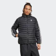 NU 20% KORTING: adidas Originals Gewatteerde jas PADDED COLL JKT