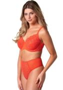 After Eden D-cup & up High-waist-string Bo met delicaat kantpatroon (1...