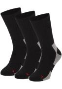 Apollo Basic sokken THERMAL/TRACKING SOCKS (2 paar, Set van 3)