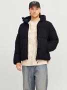 Jack & Jones Gewatteerde jas JORVESTERBRO PUFFER JACKET AW24 SN